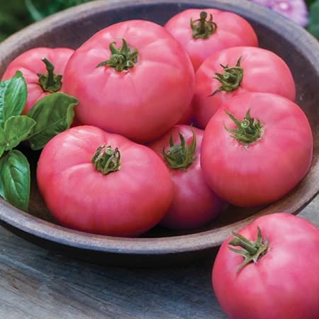 Tomato Pink Seeds – Heirloom, Non-GMO, High Germination Organic Garden Seeds