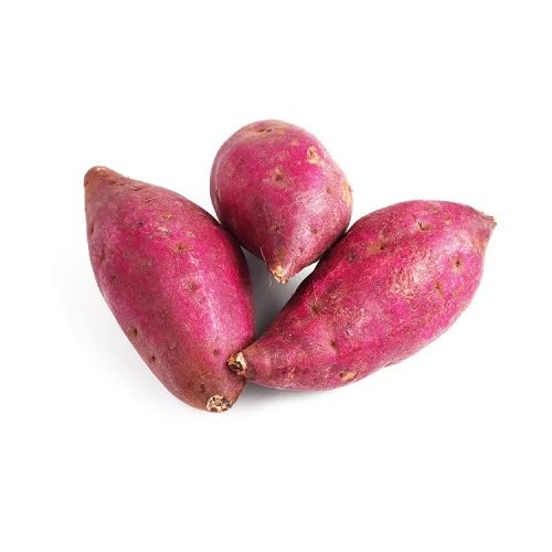 Pink Sweet Potato Seeds – Heirloom, Non-GMO, High Germination Organic Garden Seeds Planting