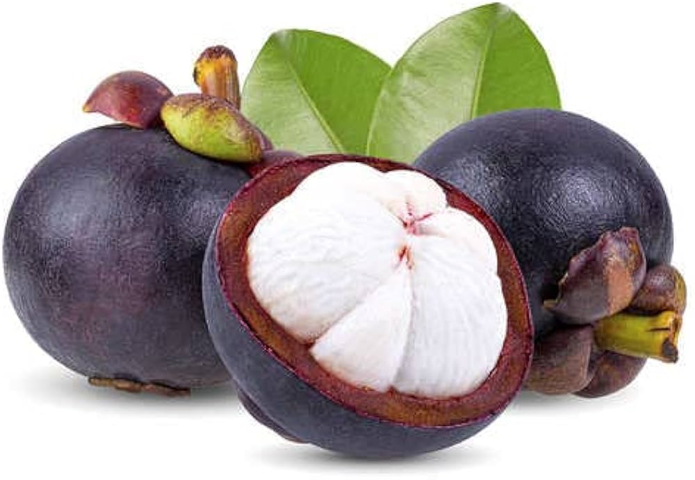 Mangosteen Fruit Seeds – Heirloom, Non-GMO, High Germination Organic Garden Seeds
