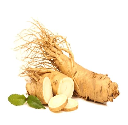 Brown Ginseng Seeds – Heirloom, Non-GMO, High Germination Organic Garden Seeds Planting