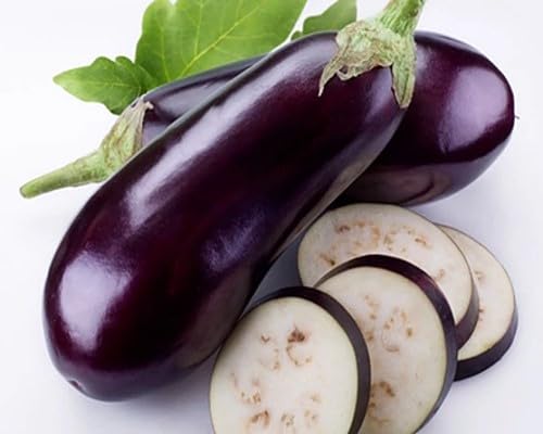 Eggplant Purple Seeds – Heirloom, Non-GMO, High Germination Organic Garden Seeds Planting