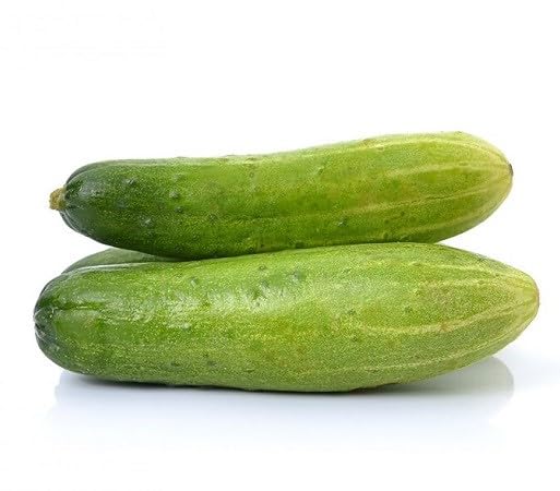Cucumber Seeds – Heirloom, Non-GMO, High Germination Organic Garden Seeds Planting
