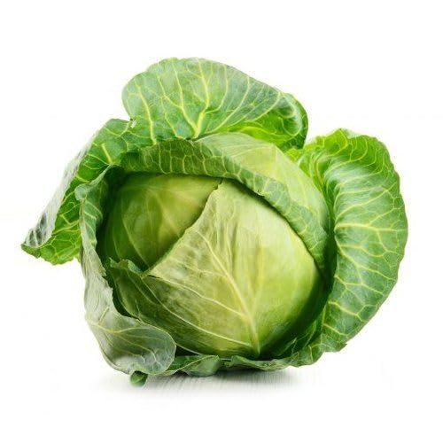 Green Cabbage Seeds – Heirloom, Non-GMO, High Germination Organic Garden Seeds Planting