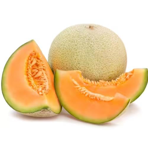 Brown Muskmelon Seeds – Heirloom, Non-GMO, High Germination Organic Garden Seeds