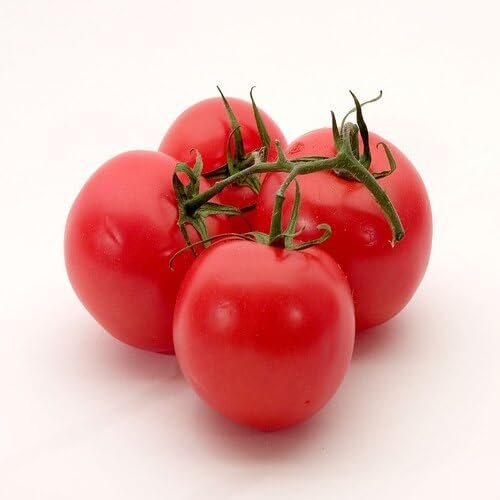 Red Tomato Seeds – Heirloom, Non-GMO, High Germination Organic Garden Seeds Planting