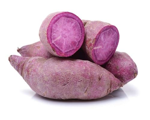 Sweet Potato Pink Seeds – Heirloom, Non-GMO, High Germination Organic Garden Seeds Planting