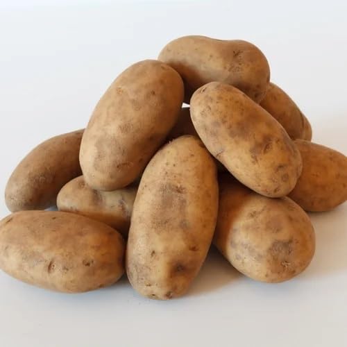 Potato Brown Seeds – Heirloom, Non-GMO, High Germination Organic Garden Seeds Planting