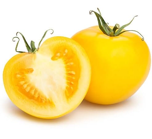 Semillas de tomate amarillo – Herencia, sin OGM, alta germinación Semillas de jardín orgánicas para plantar