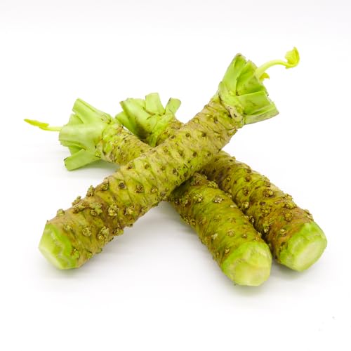 Grüne Wasabi-Samen – Alte Sorte, gentechnikfrei, hohe Keimfähigkeit, Bio-Gartensamen zur Aussaat