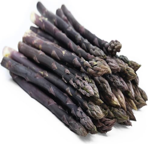 Purple Asparagus Seeds – Heirloom, Non-GMO, High Germination Organic Garden Seeds Planting