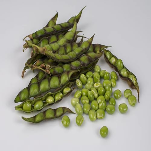 Green Pea Seeds – Heirloom, Non-GMO, High Germination Organic Garden Seeds Planting