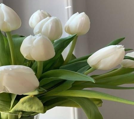Tulpenblumensamen Weiß – Alte Sorte, gentechnikfrei, keimstark, Bio-Gartensamen