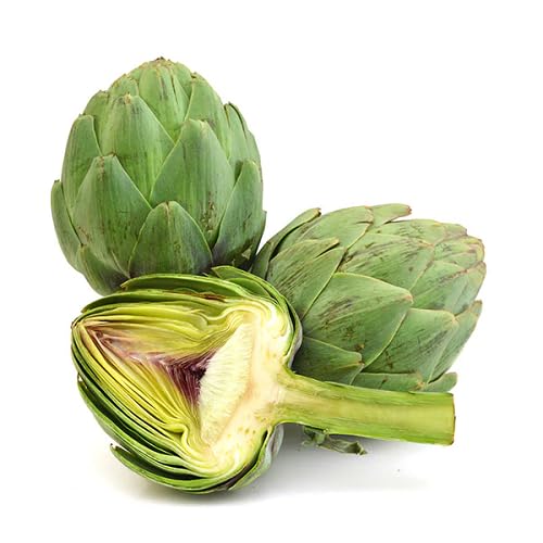 greenartichokeheirloomnongmo flower seeds