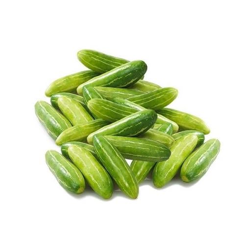 Ivy Gourd Seeds – Heirloom, Non-GMO, High Germination Organic Garden Seeds Planting