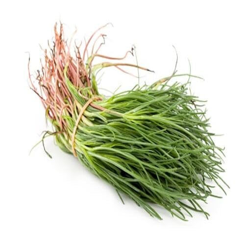 Agretti Green Seeds for Planting (Heirloom, Non-GMO) High Germination Organic Garden Seeds