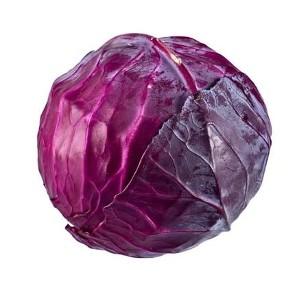 Red Cabbage Seeds – Heirloom, Non-GMO, High Germination Organic Garden Seeds Planting
