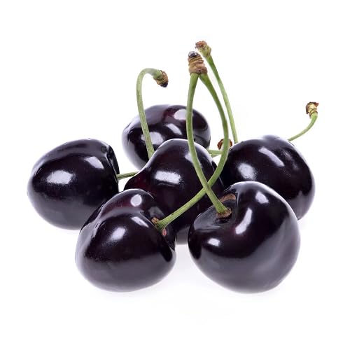 Black Cherry Seeds – Heirloom, Non-GMO, High Germination Organic Garden Seeds