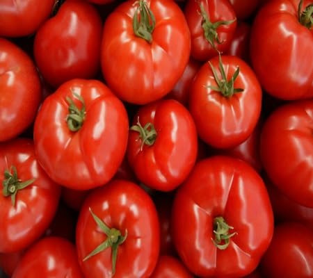 Tomato Seeds – Heirloom, Non-GMO, High Germination Organic Garden Seeds Planting