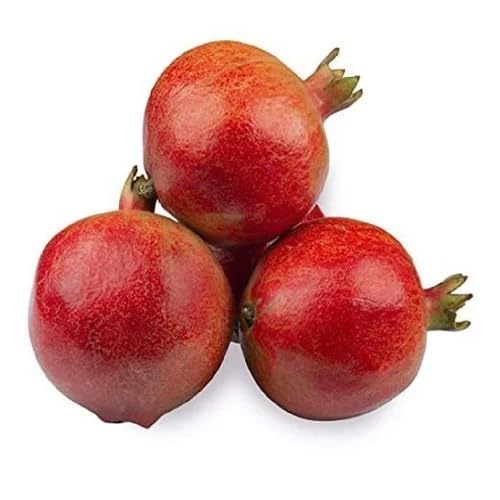 Pomegranate Seeds – Heirloom, Non-GMO, High Germination Organic Garden Seeds