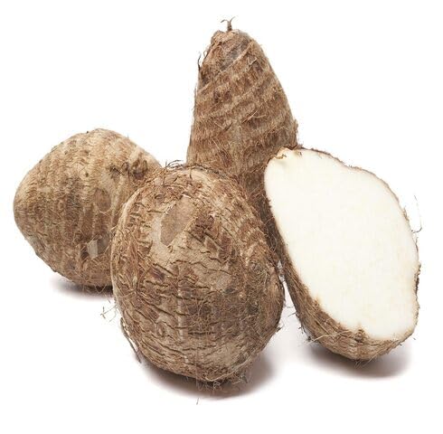 Brown Taro Seeds – Heirloom, Non-GMO, High Germination Organic Garden Seeds Planting