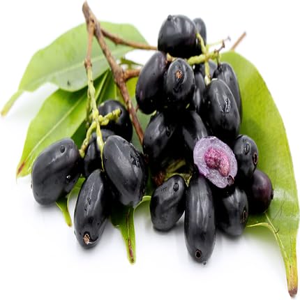 Black Jamun Seeds – Heirloom, Non-GMO, High Germination Organic Garden Seeds