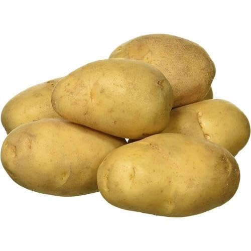 Brown Potato Seeds – Heirloom, Non-GMO, High Germination Organic Garden Seeds Planting