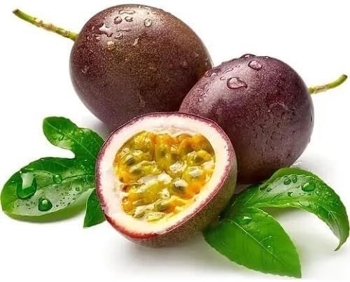 Maroon Passiflora Edulis Seeds Heirloom Non-GMO High Germination Organic Garden Seeds for Planting