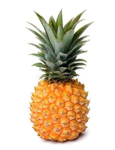 Pineapple Seeds – Heirloom, Non-GMO, High Germination Organic Garden Seeds