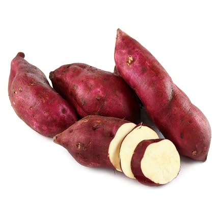 Sweet Potato Seeds – Heirloom, Non-GMO, High Germination Organic Garden Seeds Planting
