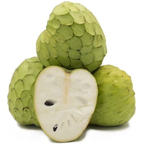 Green Cherimoya Seeds – Heirloom, Non-GMO, High Germination Organic Garden Seeds