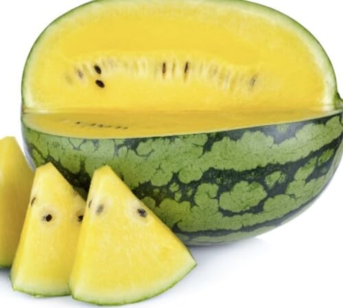 Yellow Watermelon Seeds for Planting | Heirloom Non-GMO Organic Garden Seeds