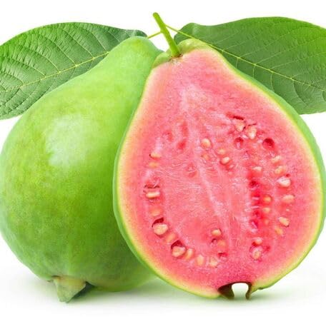 Pink Guava Seeds – Heirloom, Non-GMO, High Germination Organic Garden Seeds