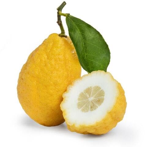 Yellow Etrog Seeds – Heirloom, Non-GMO, High Germination Organic Garden Seeds