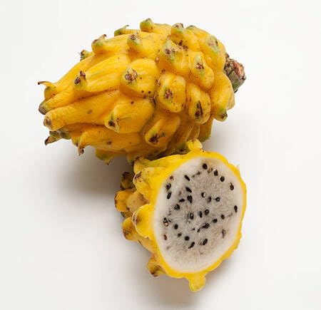 Yellow Pitaya Seeds – Heirloom, Non-GMO, High Germination Organic Garden Seeds