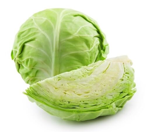 Green Cabbage Seeds – Heirloom, Non-GMO, High Germination Organic Garden Seeds Planting