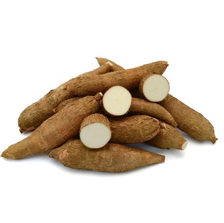 Brown Cassava Seeds – Heirloom, Non-GMO, High Germination Organic Garden Seeds Planting