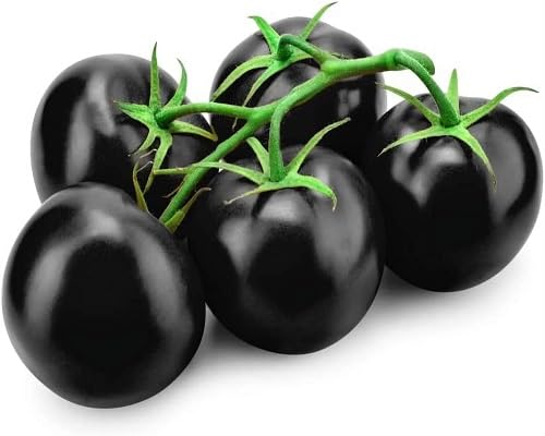 Tomato Black Seeds – Heirloom, Non-GMO, High Germination Organic Garden Seeds