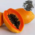 Taiwan Red Lady Papaya Fruit Seeds for Planting – Heirloom Non-GMO High Germination Organic Garden Seeds
