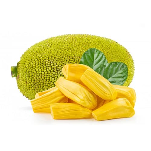 Green Jackfruit Seeds – Heirloom, Non-GMO, High Germination Organic Garden Seeds
