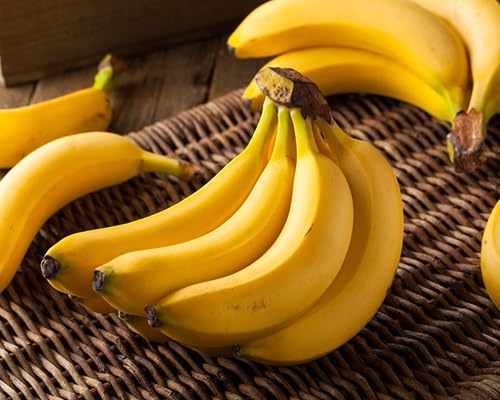 Banana Seeds – Heirloom, Non-GMO, High Germination Organic Garden Seeds