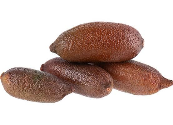 Brown Finger Lime Fruit Seeds – Heirloom, Non-GMO, High Germination Organic Garden Seeds