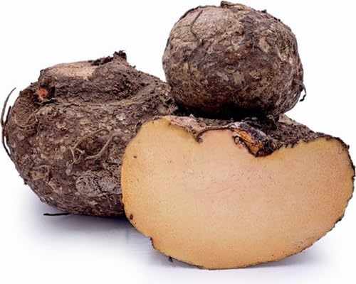 yam heirloom non-gmo seeds