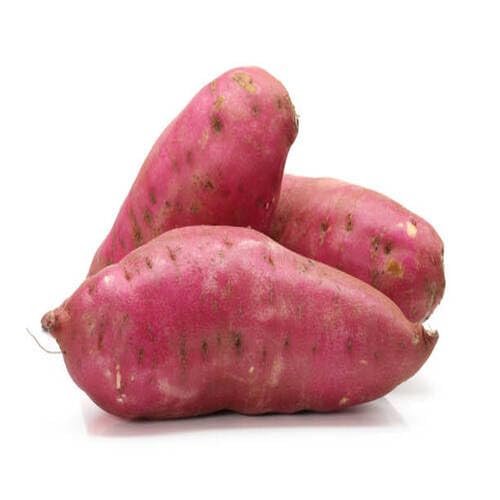 Pink Sweet Potato Seeds – Heirloom, Non-GMO, High Germination Organic Garden Seeds Planting
