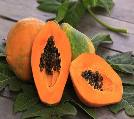 Papaya Seeds – Heirloom, Non-GMO, High Germination Organic Garden Seeds