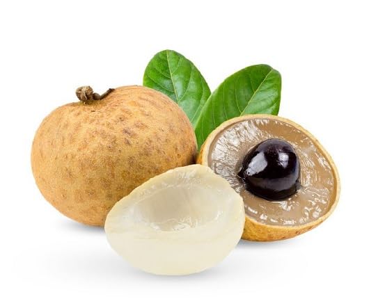 Brown Longan Seeds – Heirloom, Non-GMO, High Germination Organic Garden Seeds