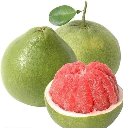 Pomelo Green Seeds for Planting – Heirloom Non-GMO High Germination Organic Garden Seeds