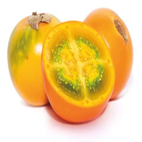 Lulo Fruit Seeds – Heirloom, Non-GMO, High Germination Organic Garden Seeds
