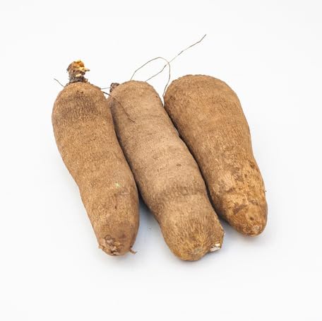 Brown Yam Seeds – Heirloom, Non-GMO, High Germination Organic Garden Seeds Planting