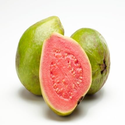 Red Guava Seeds – Heirloom, Non-GMO, High Germination Organic Garden Seeds