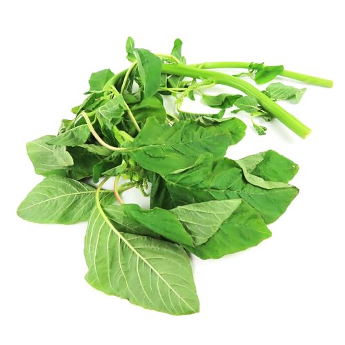 Green Callaloo herb seeds